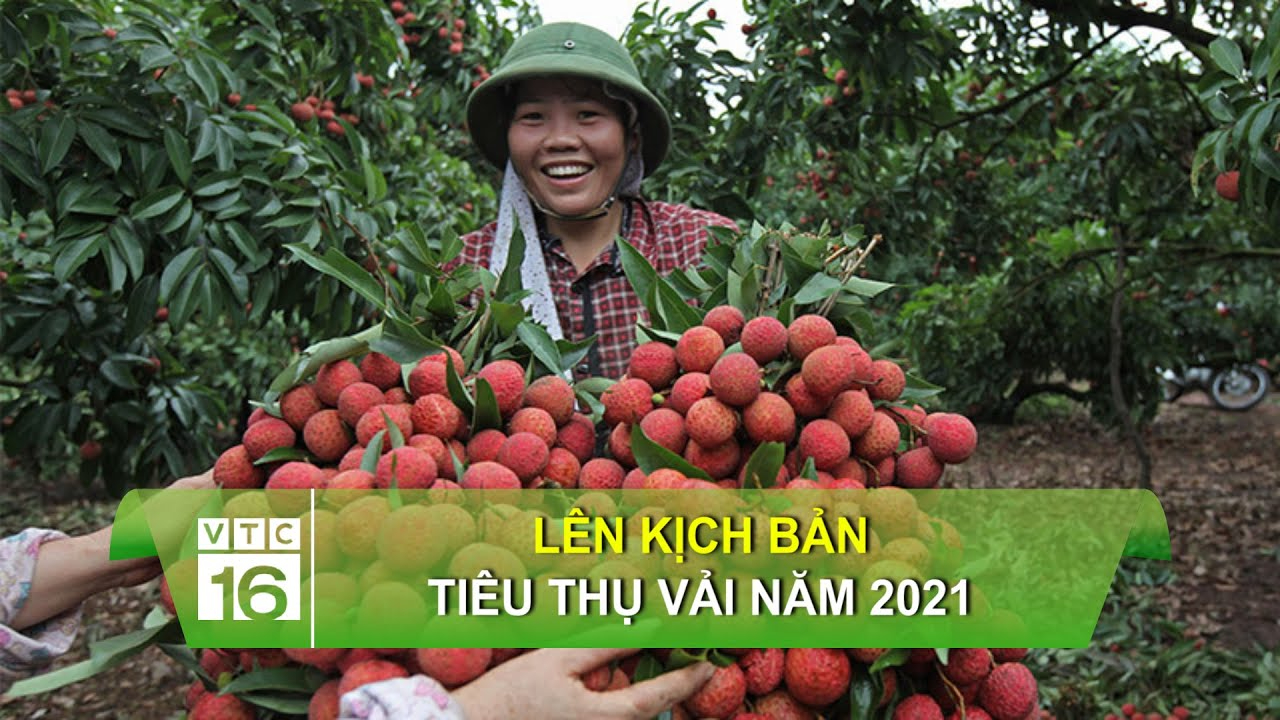 Sự Bùng Nổ Của Video Ngắn và Trí Tuệ Nhân Tạo: Vai Trò Thiết Yếu Của Đào Tạo Kỹ Năng Sáng Tạo Nội Dung_Tuyển dụng Ma trận điểm truy cập