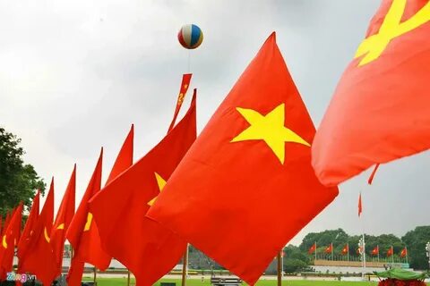 10X trúng tuyển 6 đại học top đầu châu Âu nhờ mê truyện trinh thám