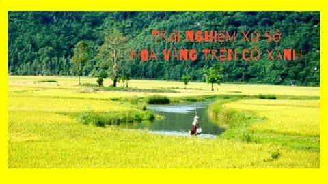 Sự Bùng Nổ Của Video Ngắn và Trí Tuệ Nhân Tạo: Vai Trò Thiết Yếu Của Đào Tạo Kỹ Năng Sáng Tạo Nội Dung