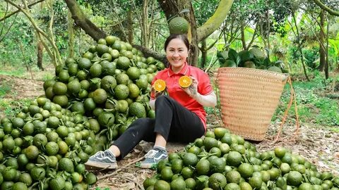 Nguyễn Quang Hải trả đũa 'vua cùi chỏ' Theerathon Bunmathan