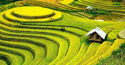 Tuyển Thái Lan giành vé dự World Cup từ tay Trung Quốc